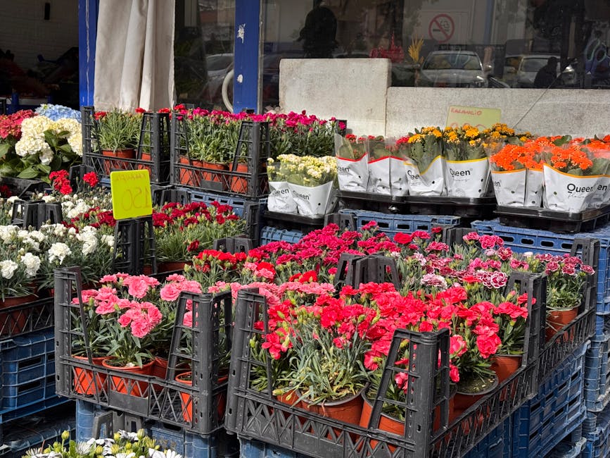 A display of vibrant potted flowering plants outside Hornsey Florist, arranged in black plastic crates. The flowers include pink, red, white, orange, and yellow blooms, with some in individual white p